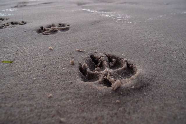 Poter i sand symboliserer forgængelighed og død