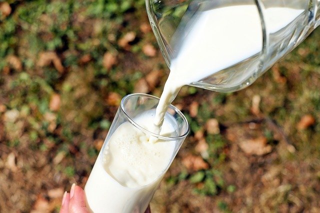 Glas mælk 