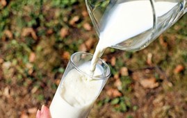 Glas mælk 