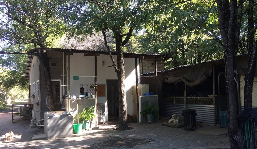 Maun Animal Welfare Society