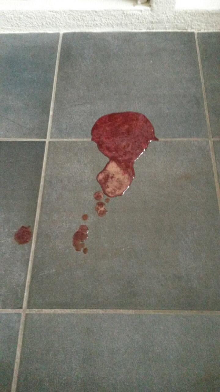 Blodig diarre fra hund efter parvovirus